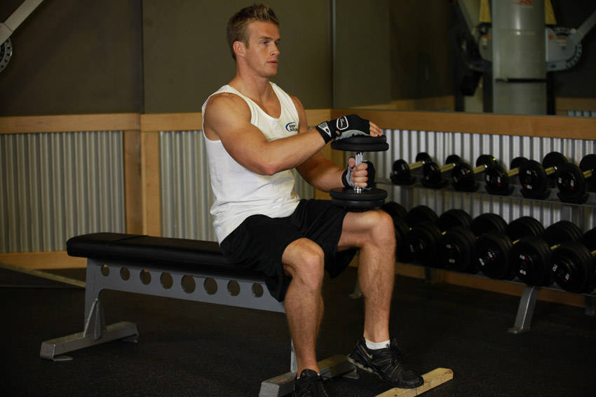 Seated Dumbbell Calf Raise — start position