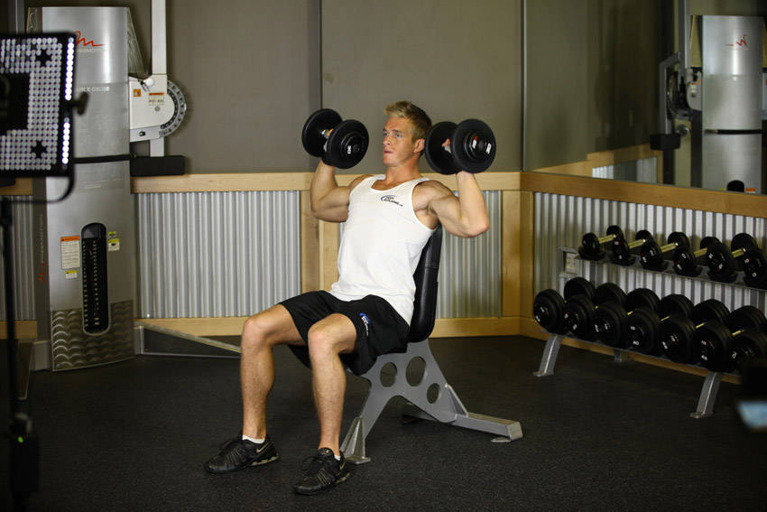 Seated Dumbbell Shoulder Press — start position