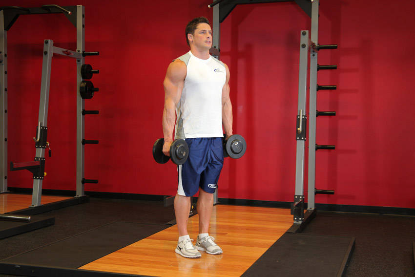 Seated Hammer Curl — start position