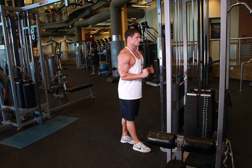 Rope / Band Triceps Pushdown — start position